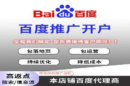 百度推广成本控制，案例深度解析